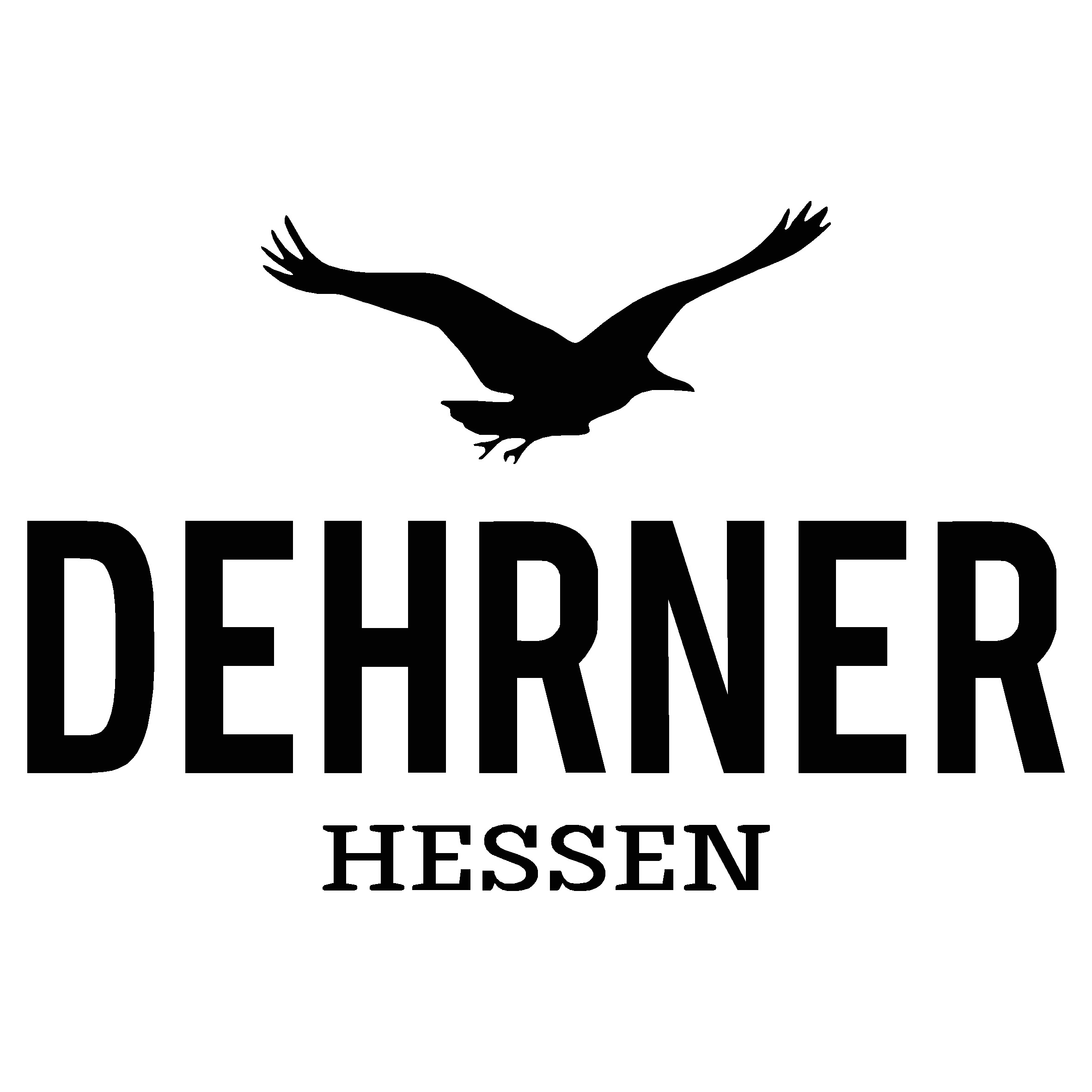 Hoodie "Dehrner" Kinder navy (dunkelblau) XXL (158/164)